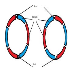 Почему стартер крутит в обратную сторону